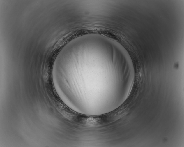 X0000115550566200911271436