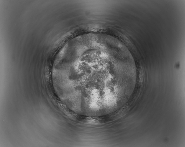 X0000115550569200911271436