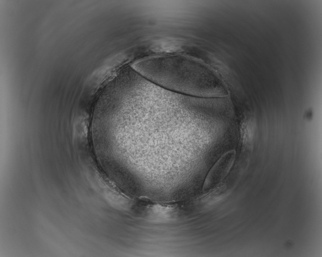 X0000115550570200911271436