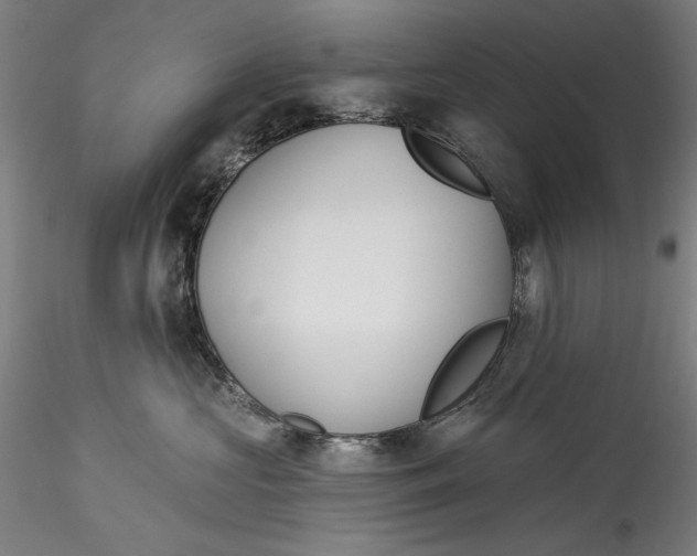 X0000115550573200911271436