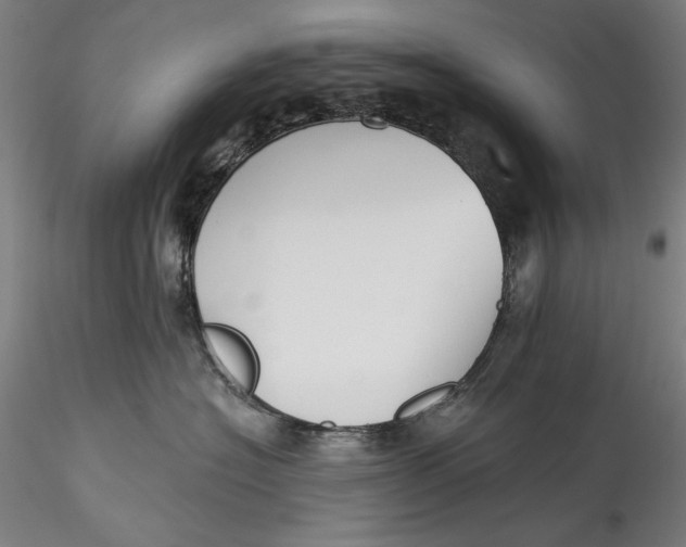 X0000115550574200911271436