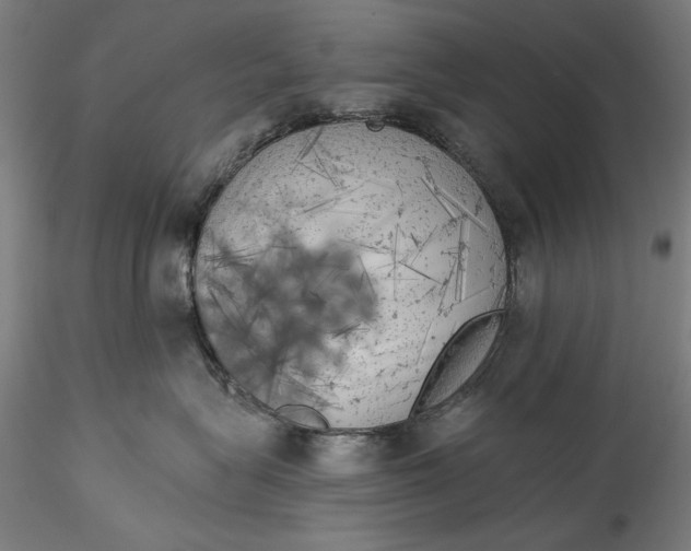 X0000115550575200911271436