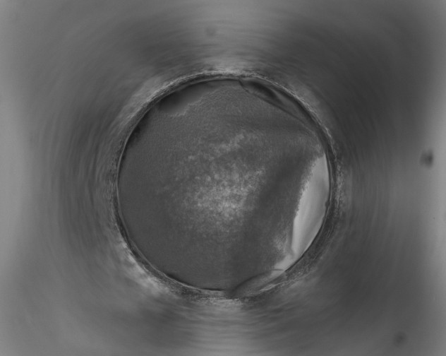 X0000115550577200911271436