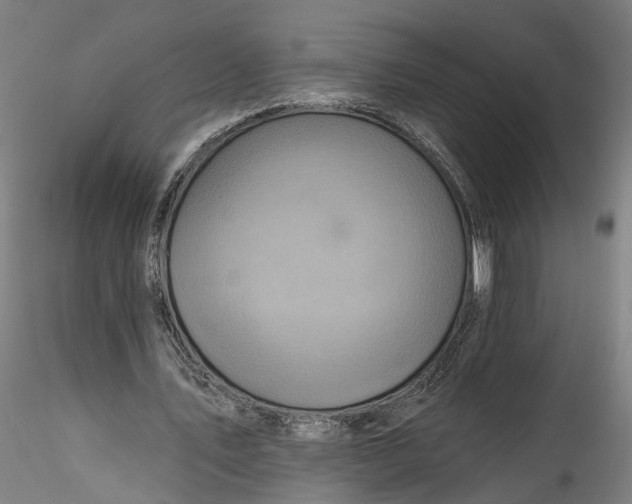 X0000115550579200911271436