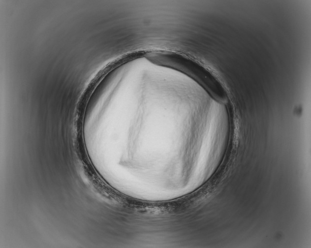 X0000115550580200911271436