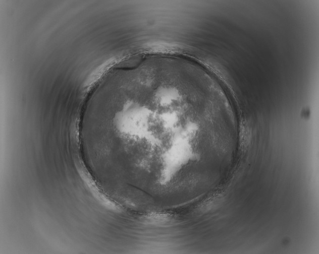 X0000115550581200911271436