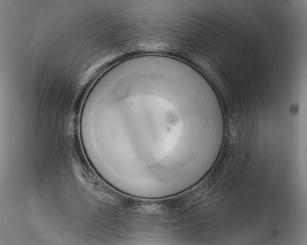 X0000115550583200911271435