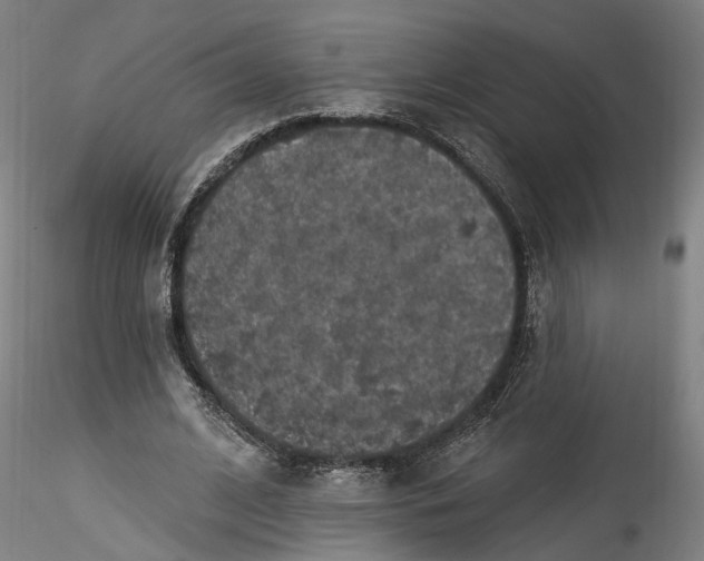 X0000115550584200911271435