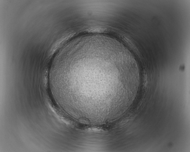 X0000115550586200911271435