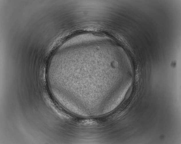 X0000115550589200911271435