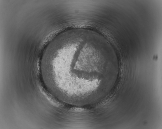 X0000115550590200911271435