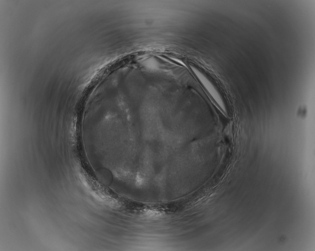 X0000115550592200911271435