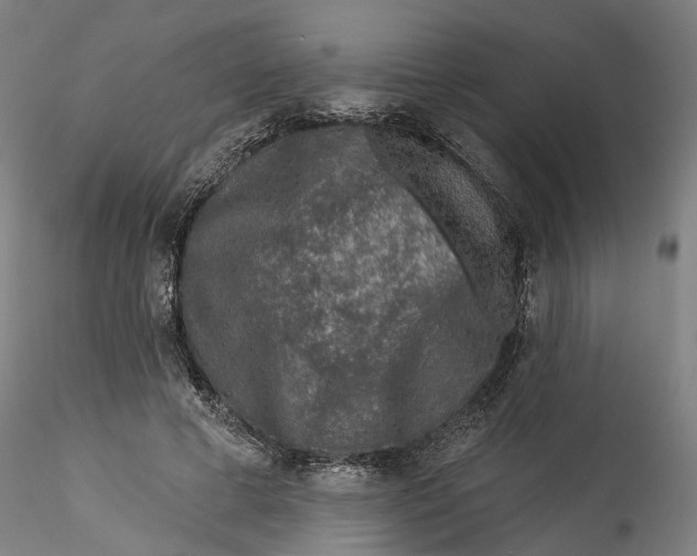 X0000115550593200911271435