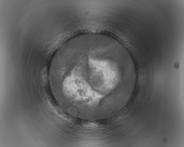 X0000115550594200911271435