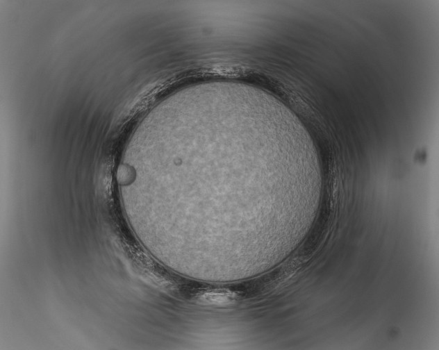 X0000115550595200911271435