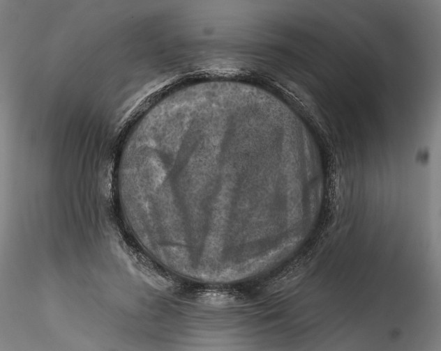 X0000115550596200911271435