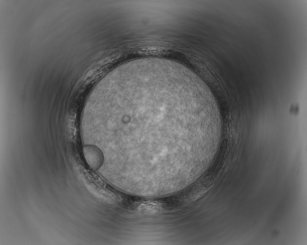 X0000115550599200911271435