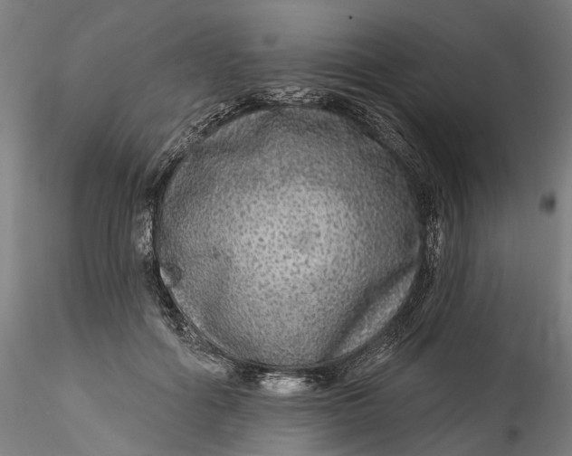 X0000115550602200911271435