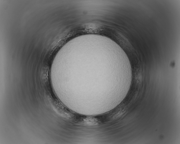 X0000115550603200911271435