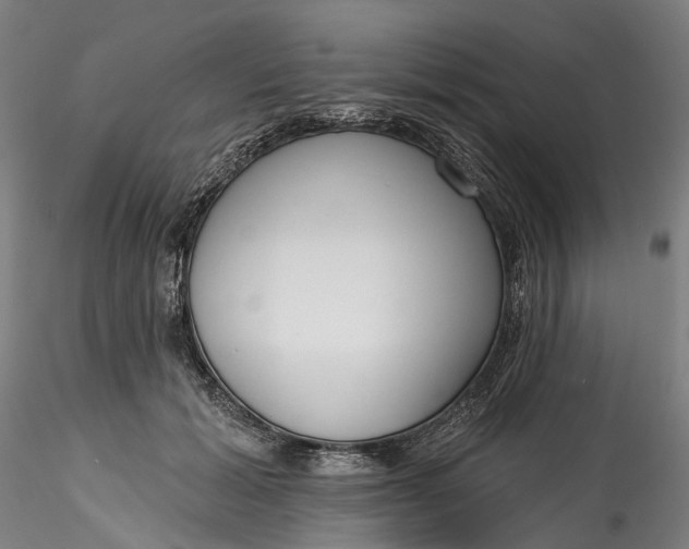 X0000115550605200911271435