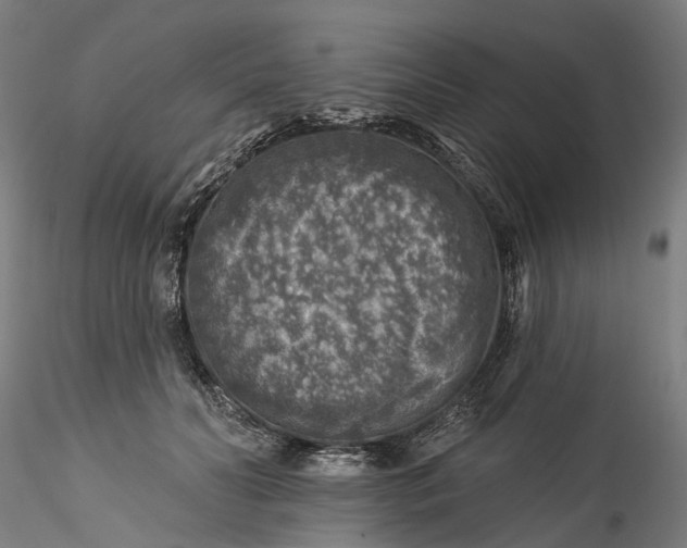 X0000115550606200911271435