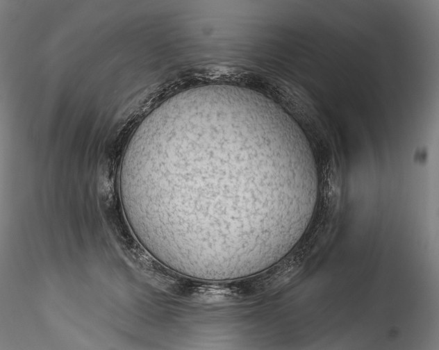 X0000115550607200911271435