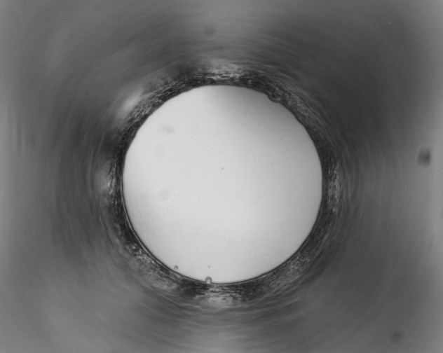 X0000115550608200911271435