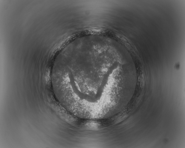 X0000115550610200911271435