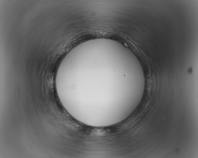 X0000115550613200911271435