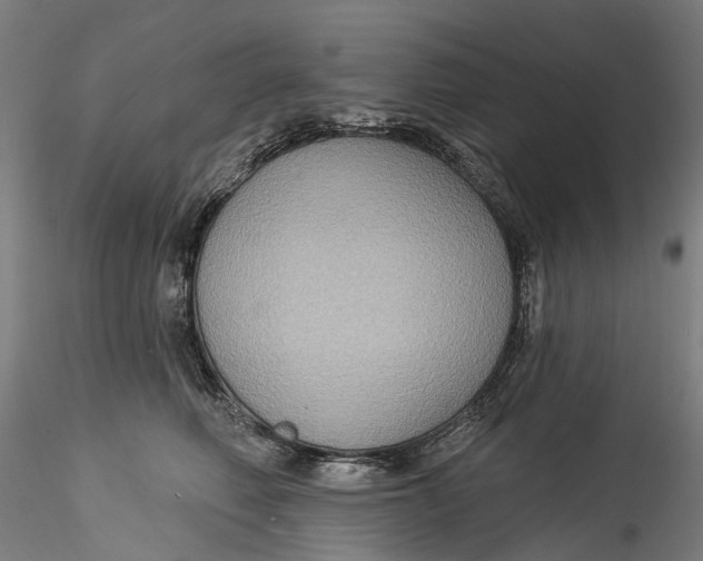 X0000115550614200911271435