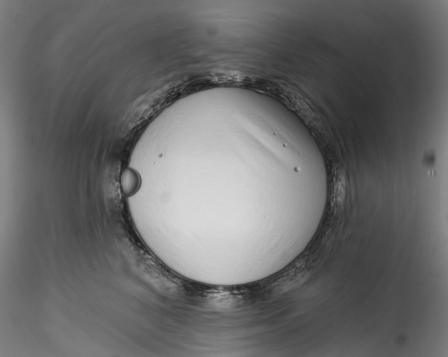 X0000115550616200911271435