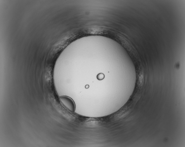 X0000115550620200911271435