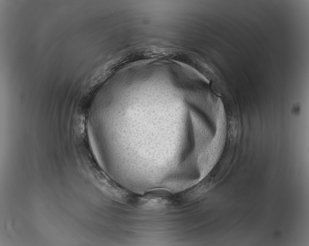 X0000115550621200911271435