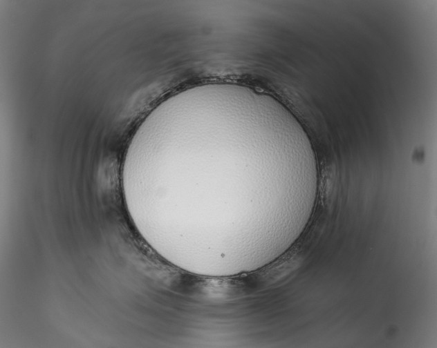 X0000115550623200911271435