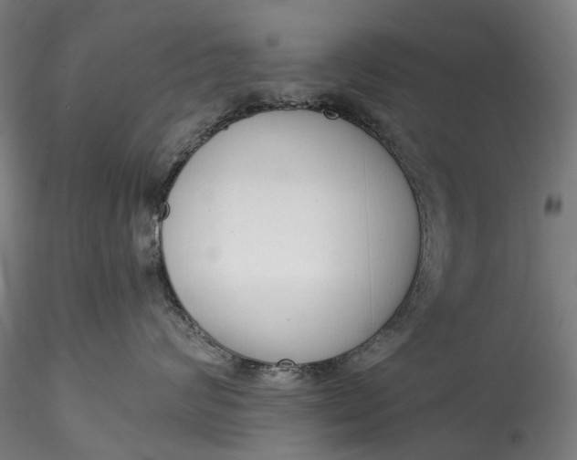 X0000115550624200911271435