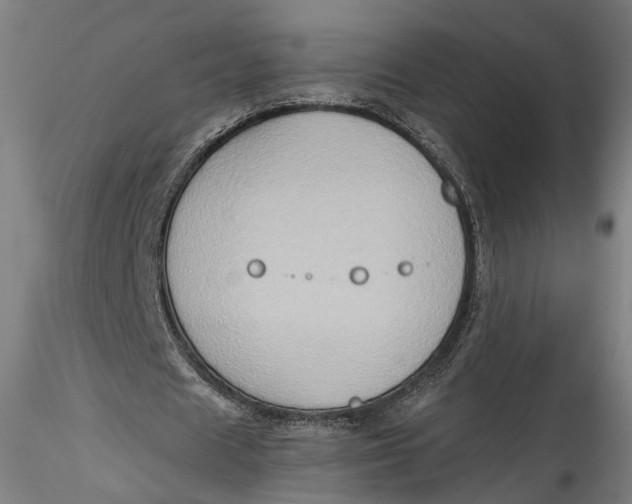 X0000115550625200911271434