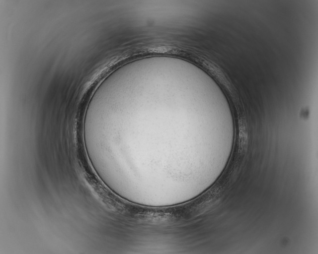 X0000115550626200911271434