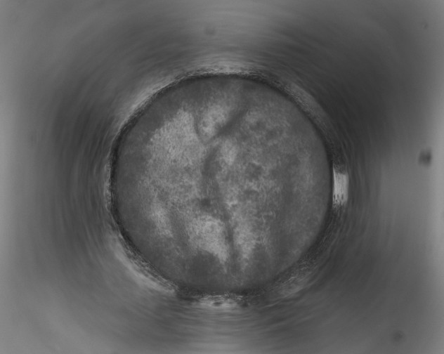 X0000115550627200911271434