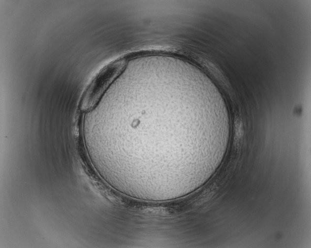 X0000115550628200911271434