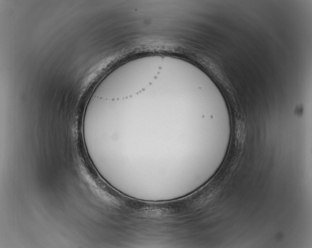 X0000115550629200911271434