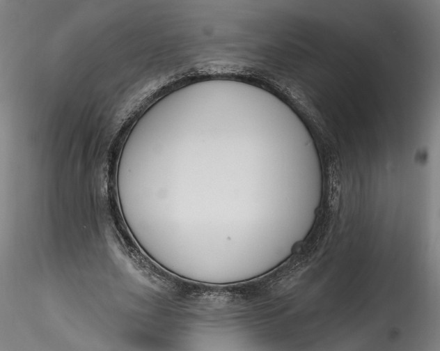 X0000115550631200911271434