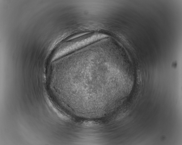 X0000115550634200911271434