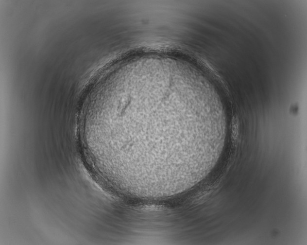 X0000115550637200911271434