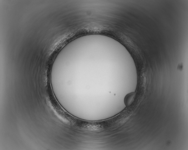 X0000115550638200911271434