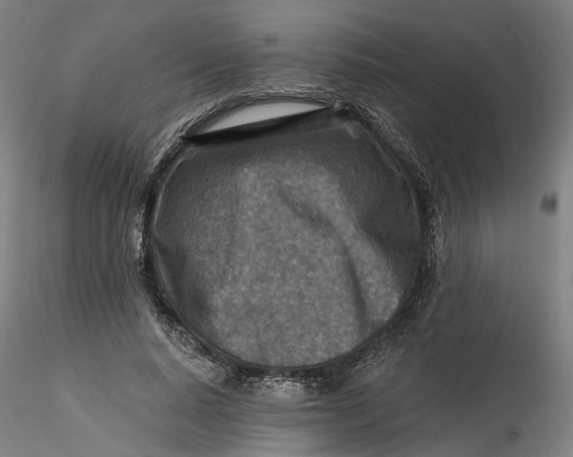 X0000115550640200911271434