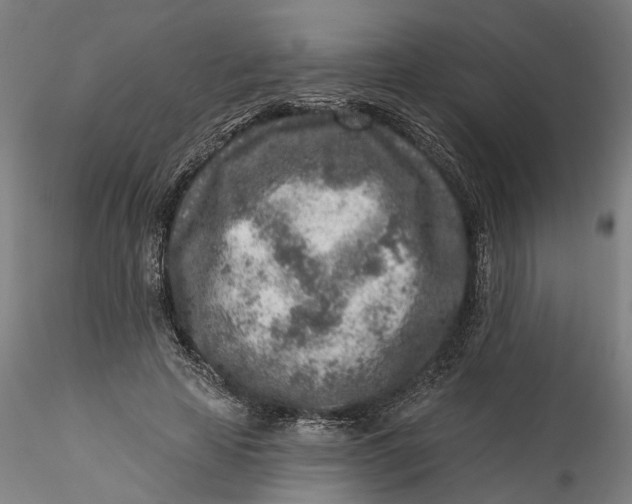 X0000115550641200911271434