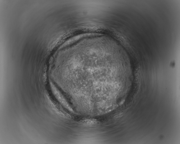 X0000115550642200911271434