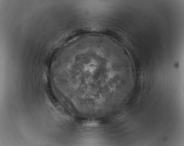 X0000115550643200911271434