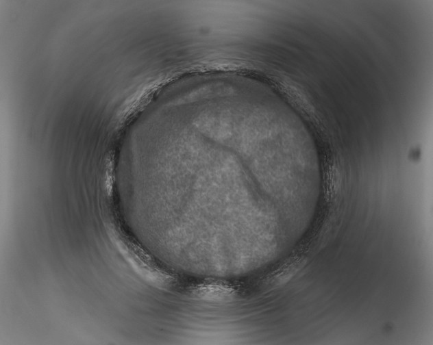 X0000115550644200911271435