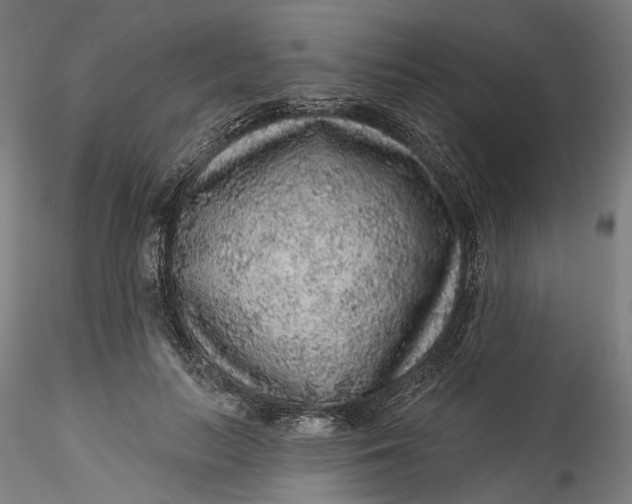 X0000115550647200911271435